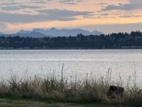 IMG_7910.JPEG