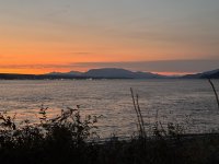IMG_7912.JPEG