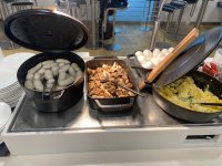 IMG_9508.jpeg
