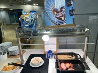 IMG_9507.jpeg