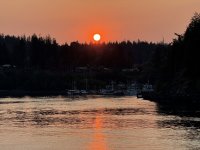 IMG_7921.JPEG