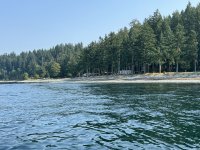 IMG_7936.JPEG