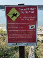 IMG_7969.JPEG