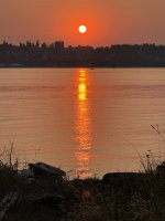 IMG_7986.JPEG