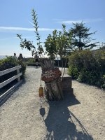 IMG_8020.JPEG