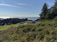 IMG_8025.JPEG
