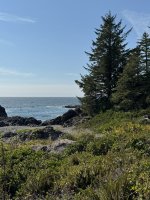 IMG_8026.JPEG