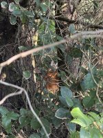 IMG_8028.JPEG