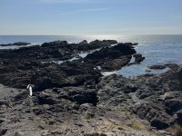 IMG_8032.JPEG