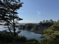 IMG_8037.JPEG
