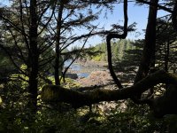 IMG_8039.JPEG