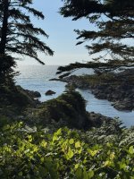 IMG_8046.JPEG
