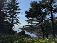 IMG_8048.JPEG