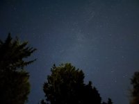 IMG_8066.JPEG