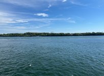 IMG_2298.JPG
