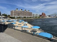 IMG_2306.JPG