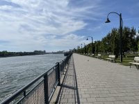 IMG_2310.JPG
