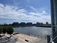IMG_2342.JPG
