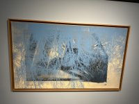IMG_5516.jpeg