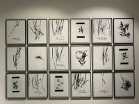 IMG_5519.jpeg
