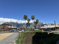 IMG_5544.jpeg