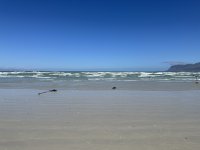 IMG_5554.jpeg
