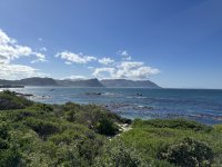 IMG_5556.jpeg