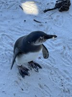 IMG_5589.jpeg
