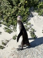 IMG_5610.jpeg