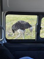 IMG_5637.jpeg