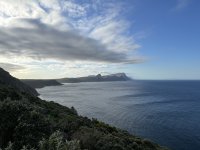 IMG_5728.jpeg
