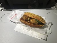 IMG_1095.jpeg