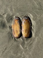 IMG_8111.JPEG