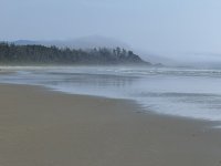 IMG_8113.JPEG