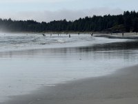IMG_8115.JPEG