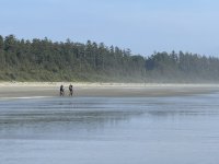 IMG_8121.JPEG