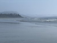 IMG_8122.JPEG