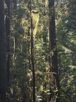 IMG_8140.JPEG