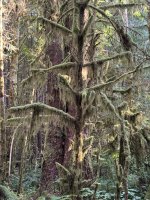 IMG_8144.JPEG