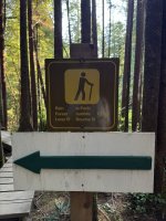 IMG_8145.JPEG