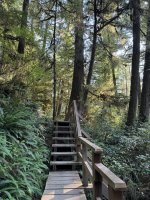 IMG_8147.JPEG