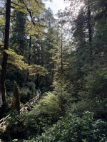 IMG_8150.JPEG