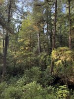 IMG_8153.JPEG
