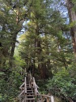 IMG_8159.JPEG