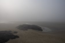 20250903-PacifcRim-Longbeach-Tofino-38.jpg
