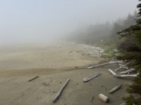 IMG_8167.JPEG