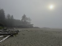 IMG_8169.JPEG