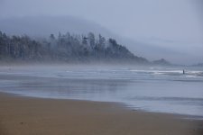20250903-PacifcRim-Longbeach-Tofino-12.jpg
