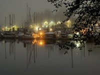IMG_8174.JPEG