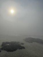 IMG_8164.JPEG